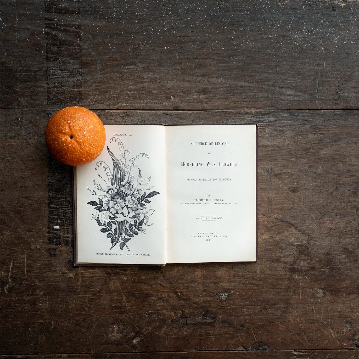 A COURSE IN MODELLING WAX FLOWERS (1877)