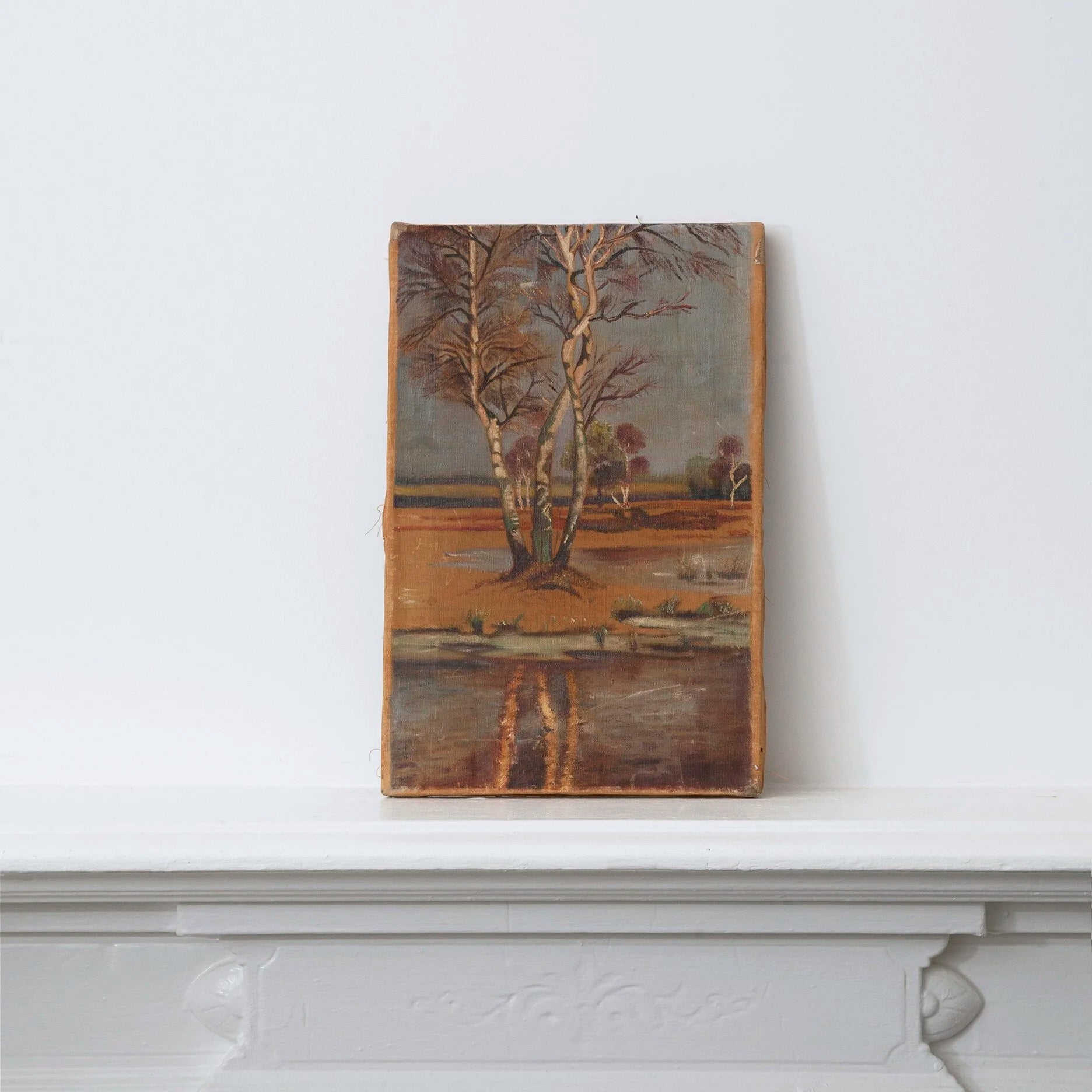 LANDSCAPE OF FLORIDA MARSH