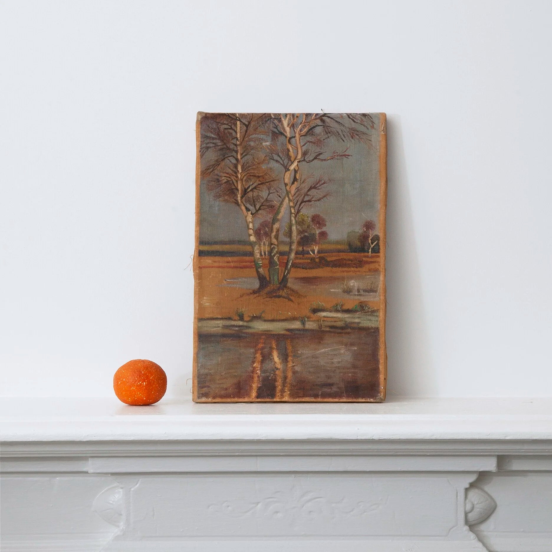 LANDSCAPE OF FLORIDA MARSH