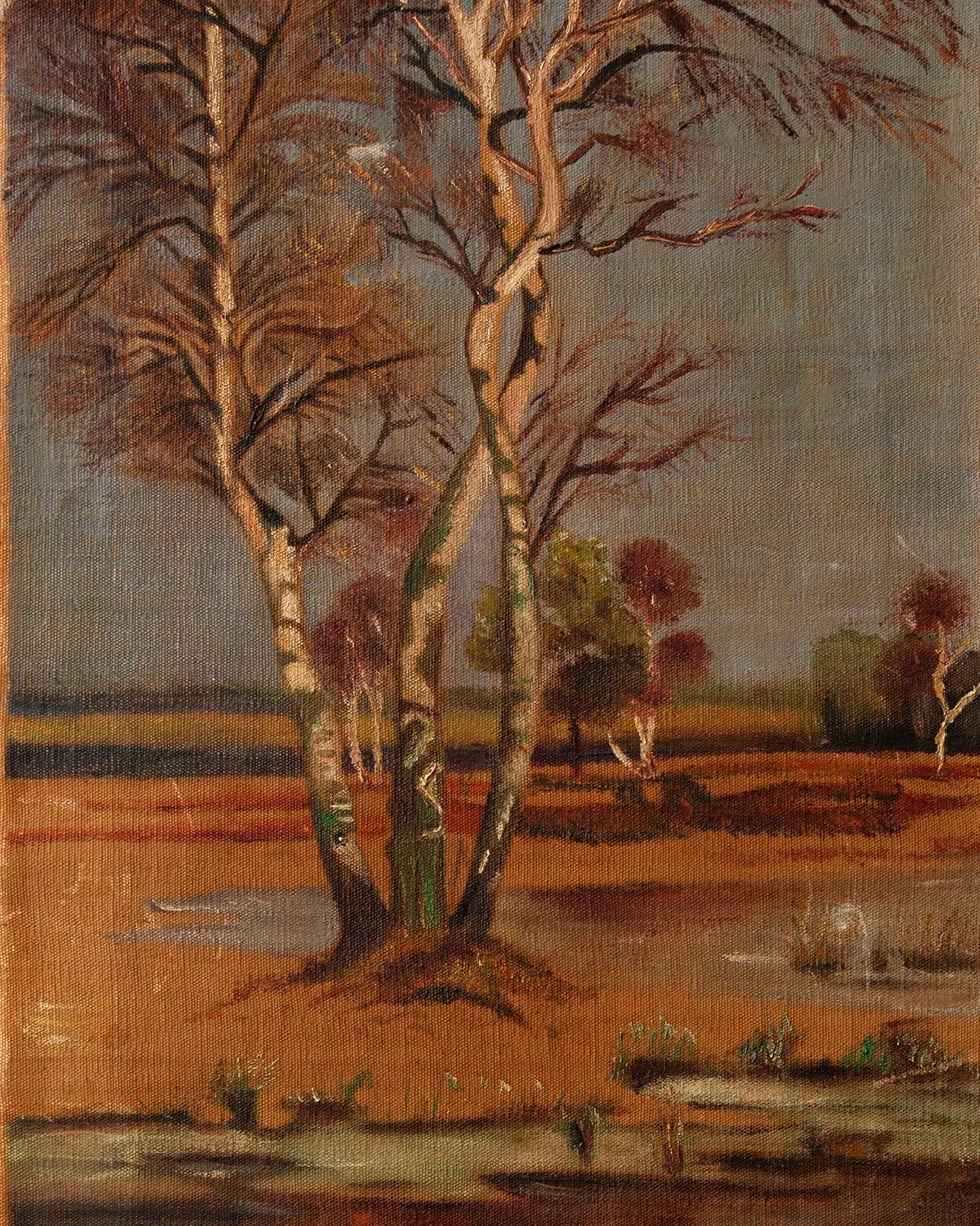 LANDSCAPE OF FLORIDA MARSH