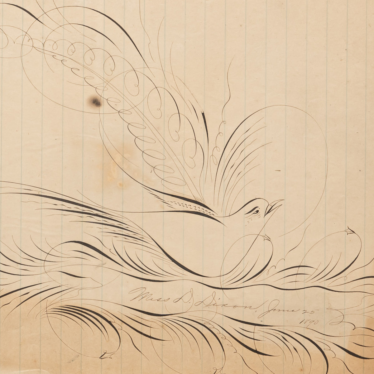 19TH-CENTURY AMERICAN CALLIGRAPHY DRAWING OF A BIRD II