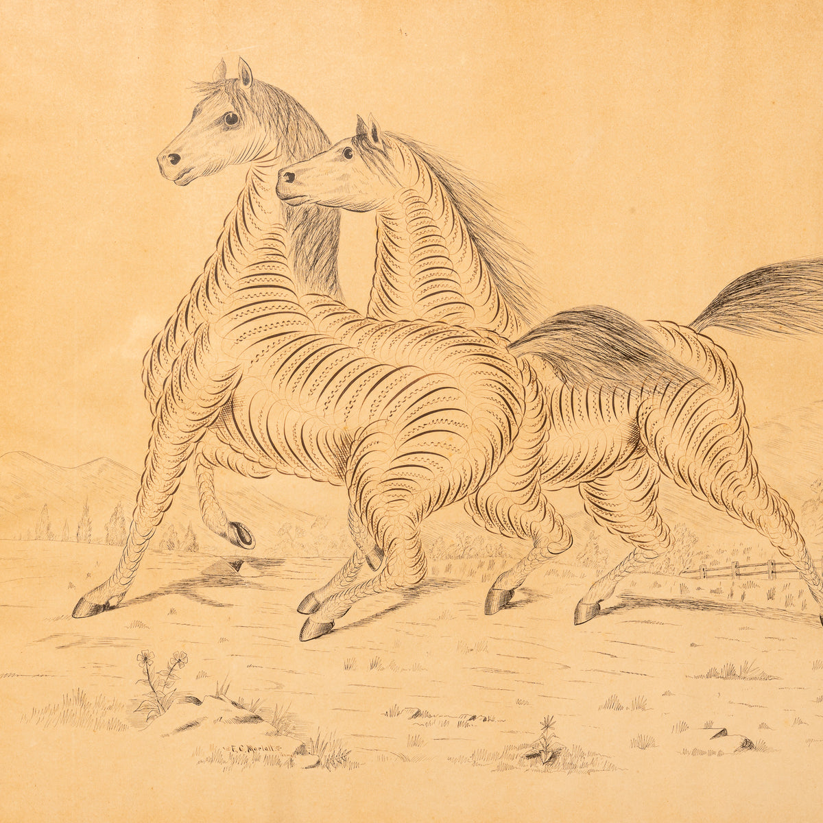 19TH-CENTURY AMERICAN CALLIGRAPHIC DRAWING OF TWO HORSES