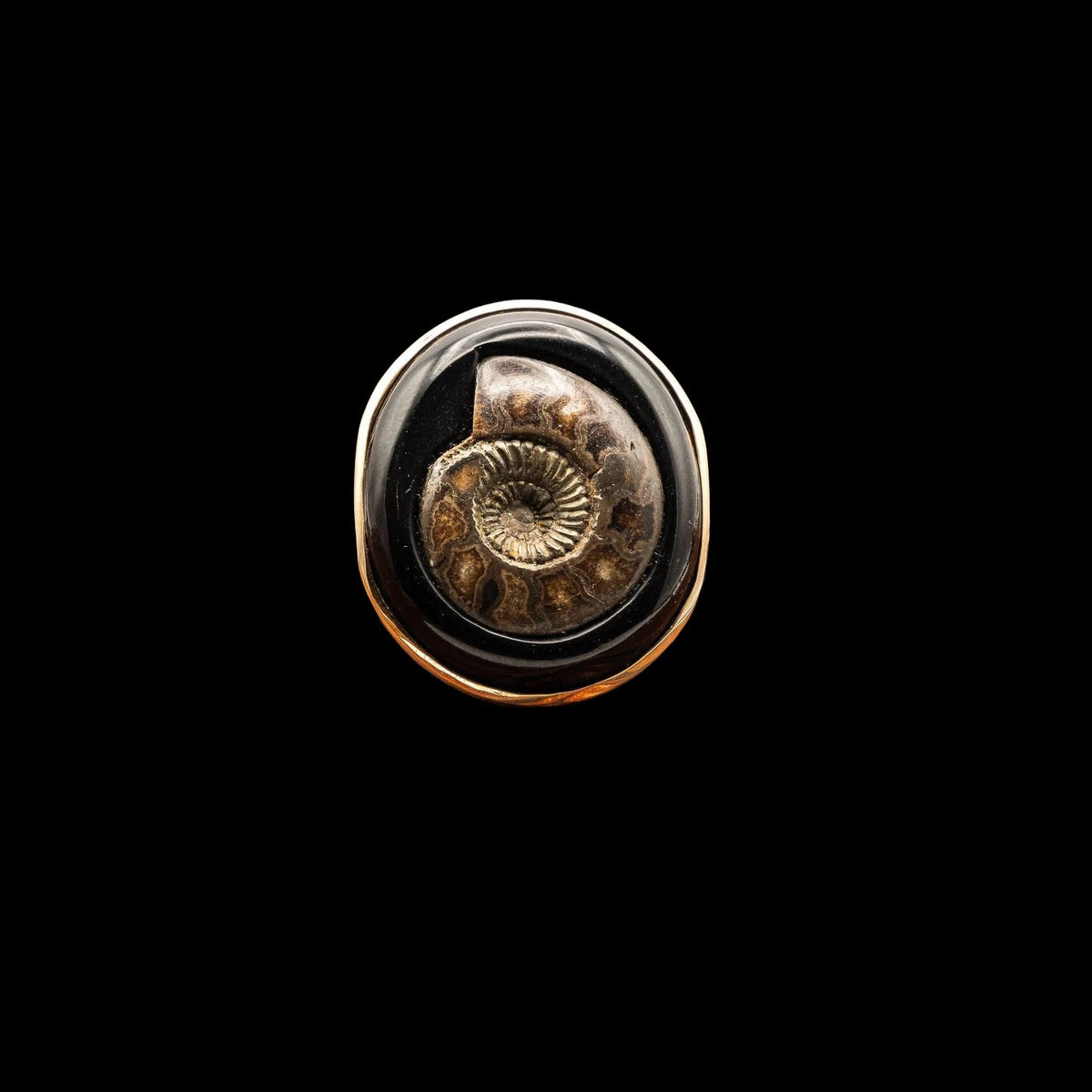 TURRITELLA AGATE FOSSILIZED SHELL RING, catalog view