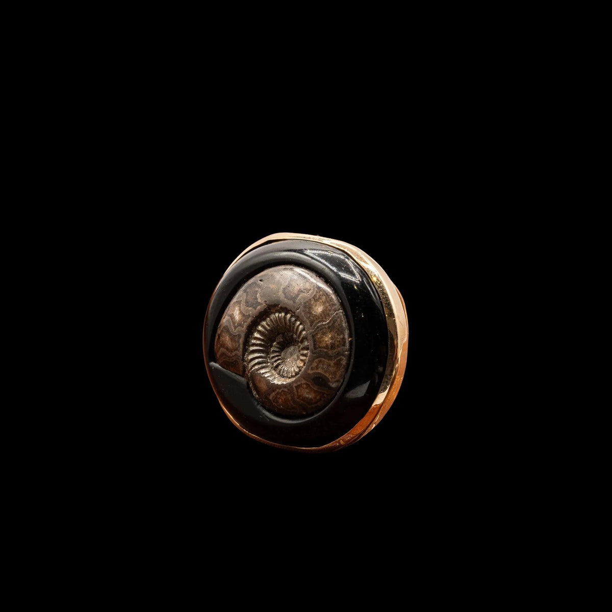 TURRITELLA AGATE FOSSILIZED SHELL RING, detail view