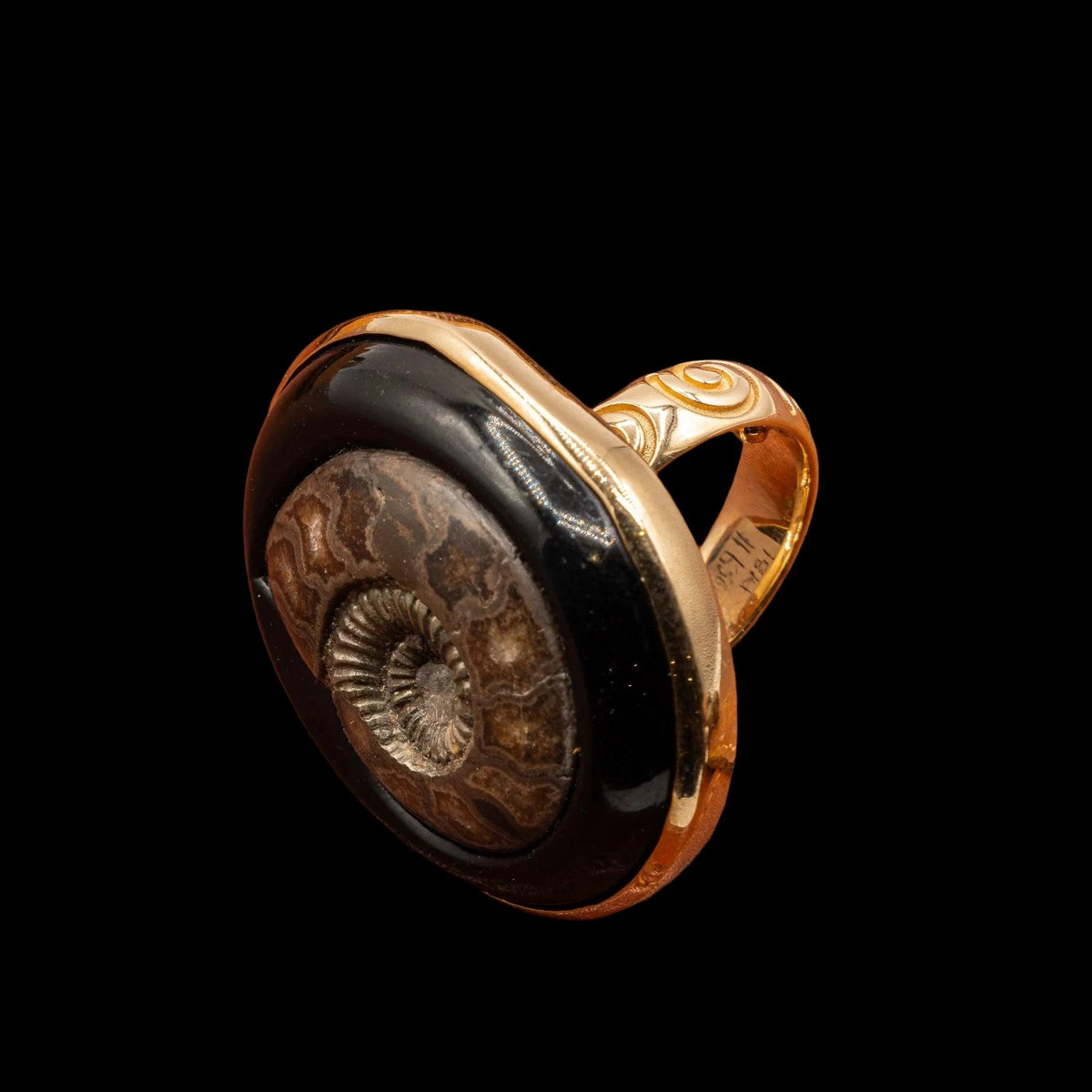 TURRITELLA AGATE FOSSILIZED SHELL RING, detail view