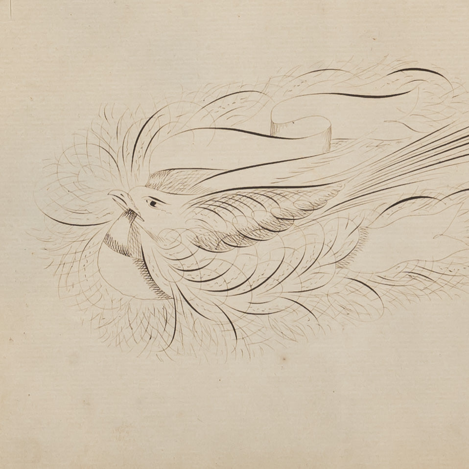 19TH-CENTURY AMERICAN CALLIGRAPHY DRAWING OF A BIRD