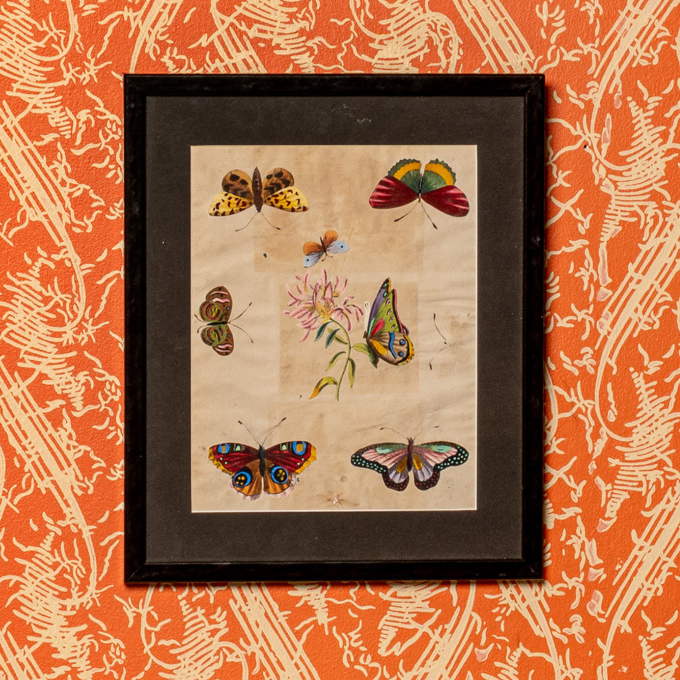 19TH-CENTURY AMERICAN BUTTERFLY WATERCOLOR STUDY II