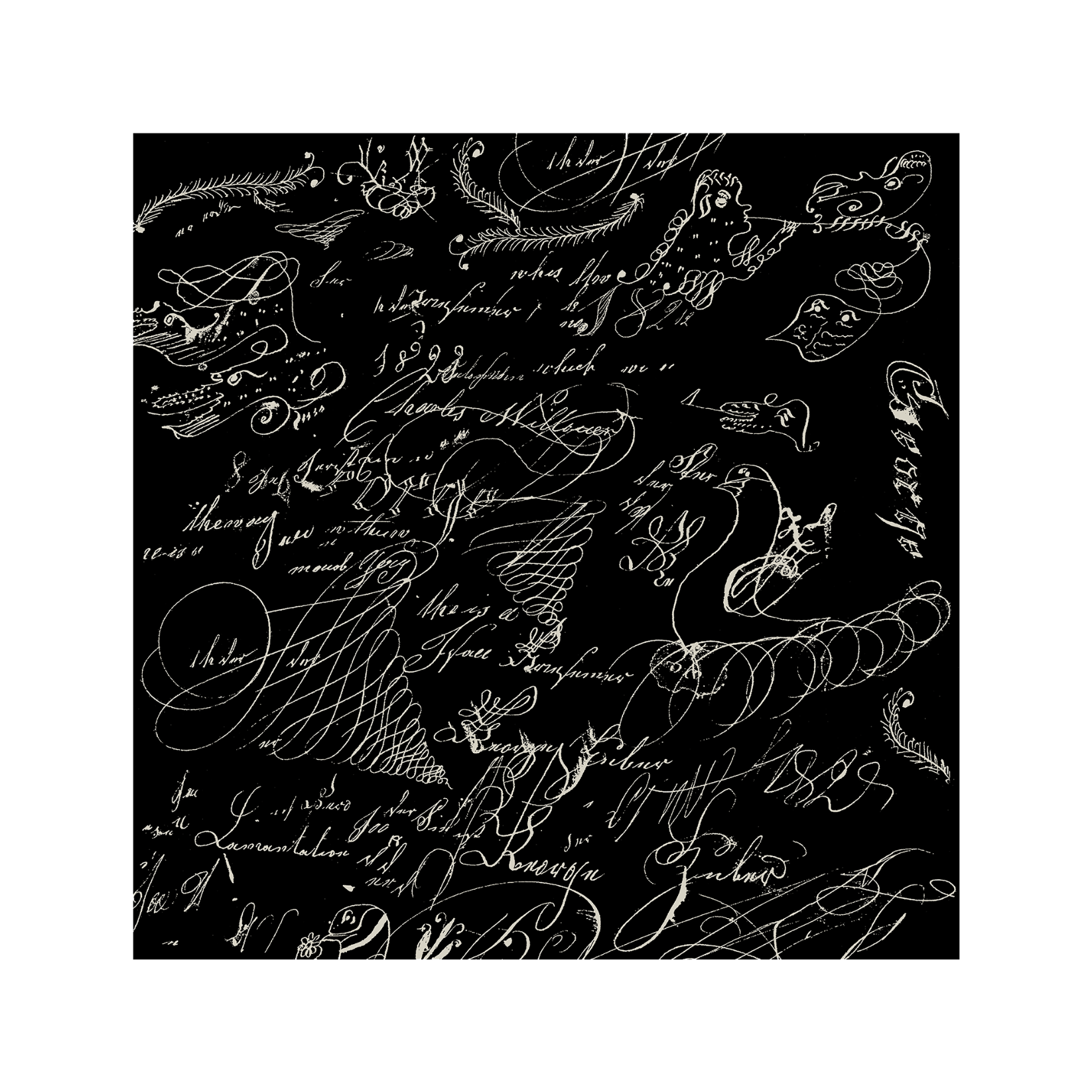 "PENMANSHIP 1809 BLACK" CALLIGRAM CASHMERE SCARF