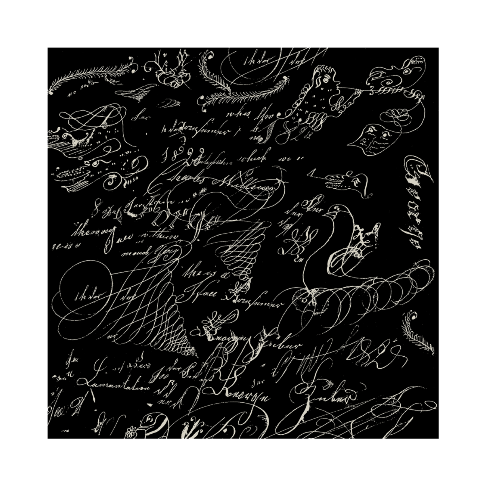 "PENMANSHIP 1809 BLACK" CALLIGRAM CASHMERE SCARF