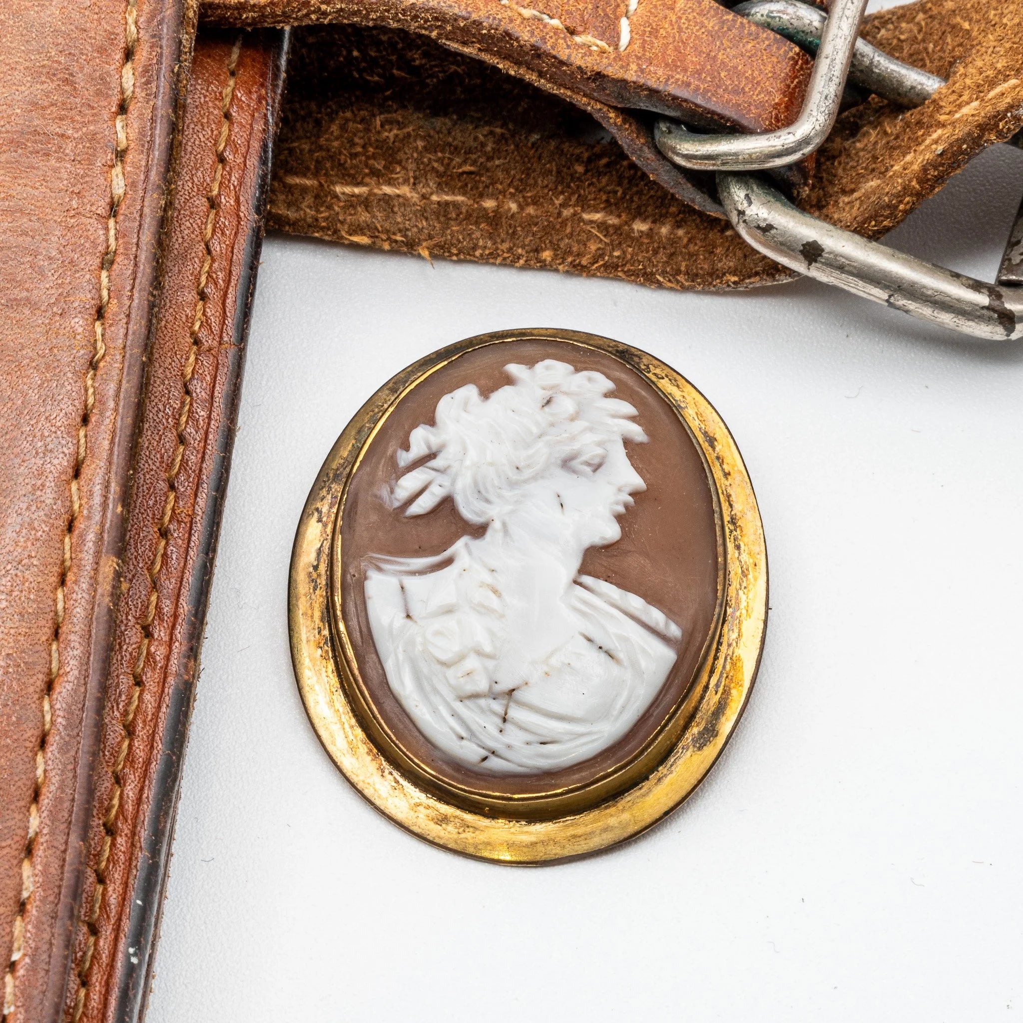19th Century Carved Shell Cameo
