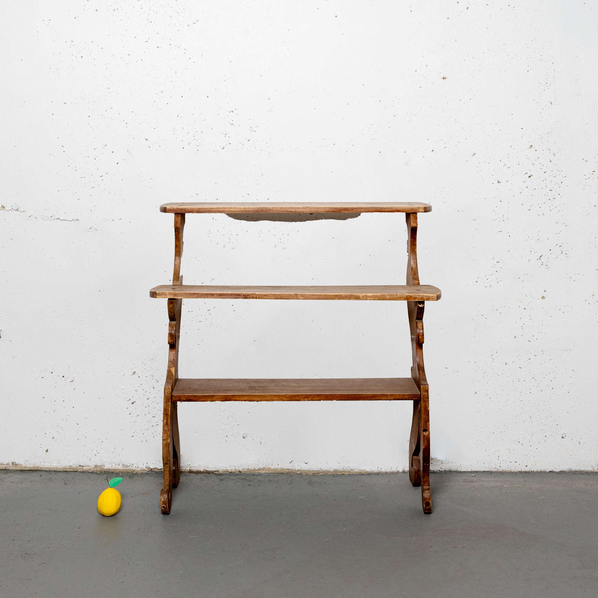 19th century American folk art plantsand