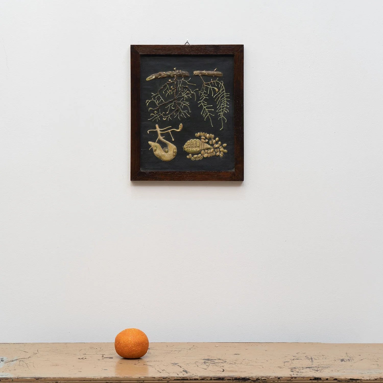 GROUP OF 11 TEACHING MODELS OF PLANTS AND INSECTS