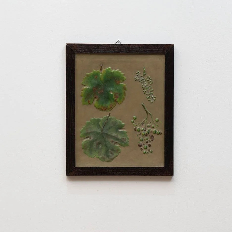 GROUP OF 11 TEACHING MODELS OF PLANTS AND INSECTS