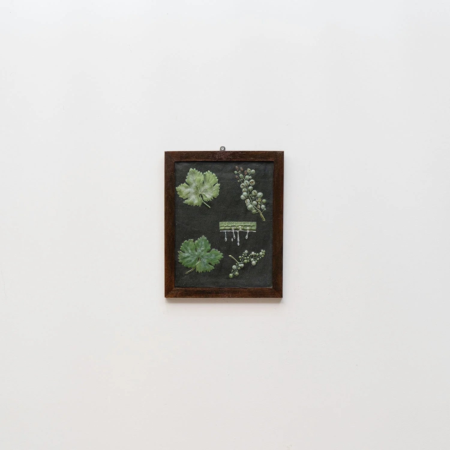 GROUP OF 11 TEACHING MODELS OF PLANTS AND INSECTS