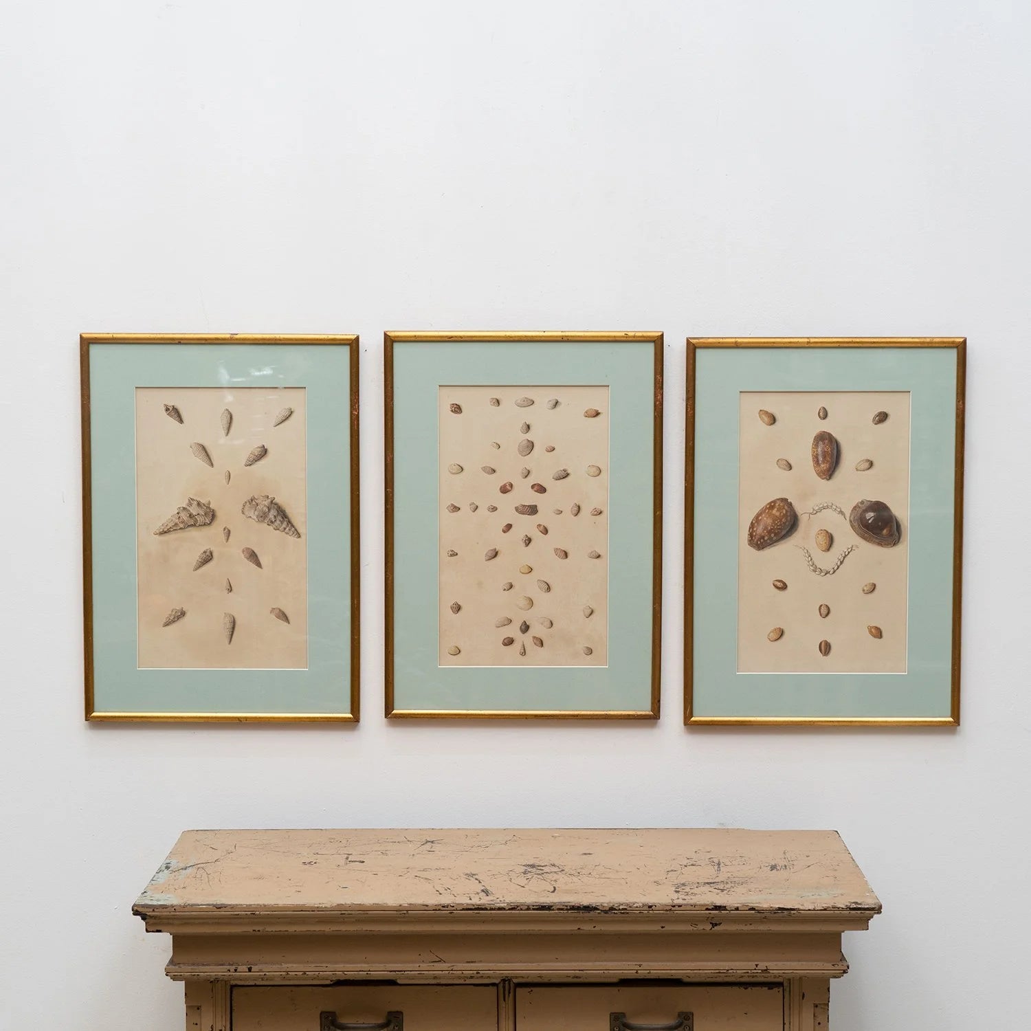 TRIO OF FRAMED SEASHELL PAINTINGS