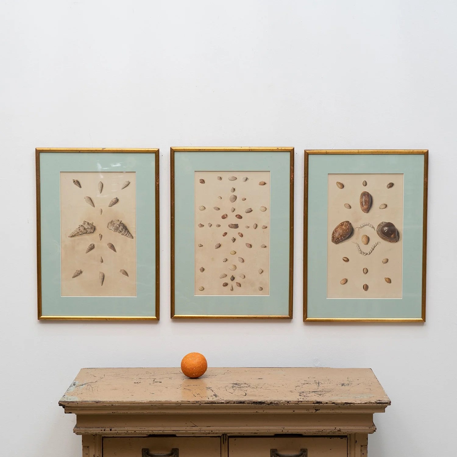 TRIO OF FRAMED SEASHELL PAINTINGS