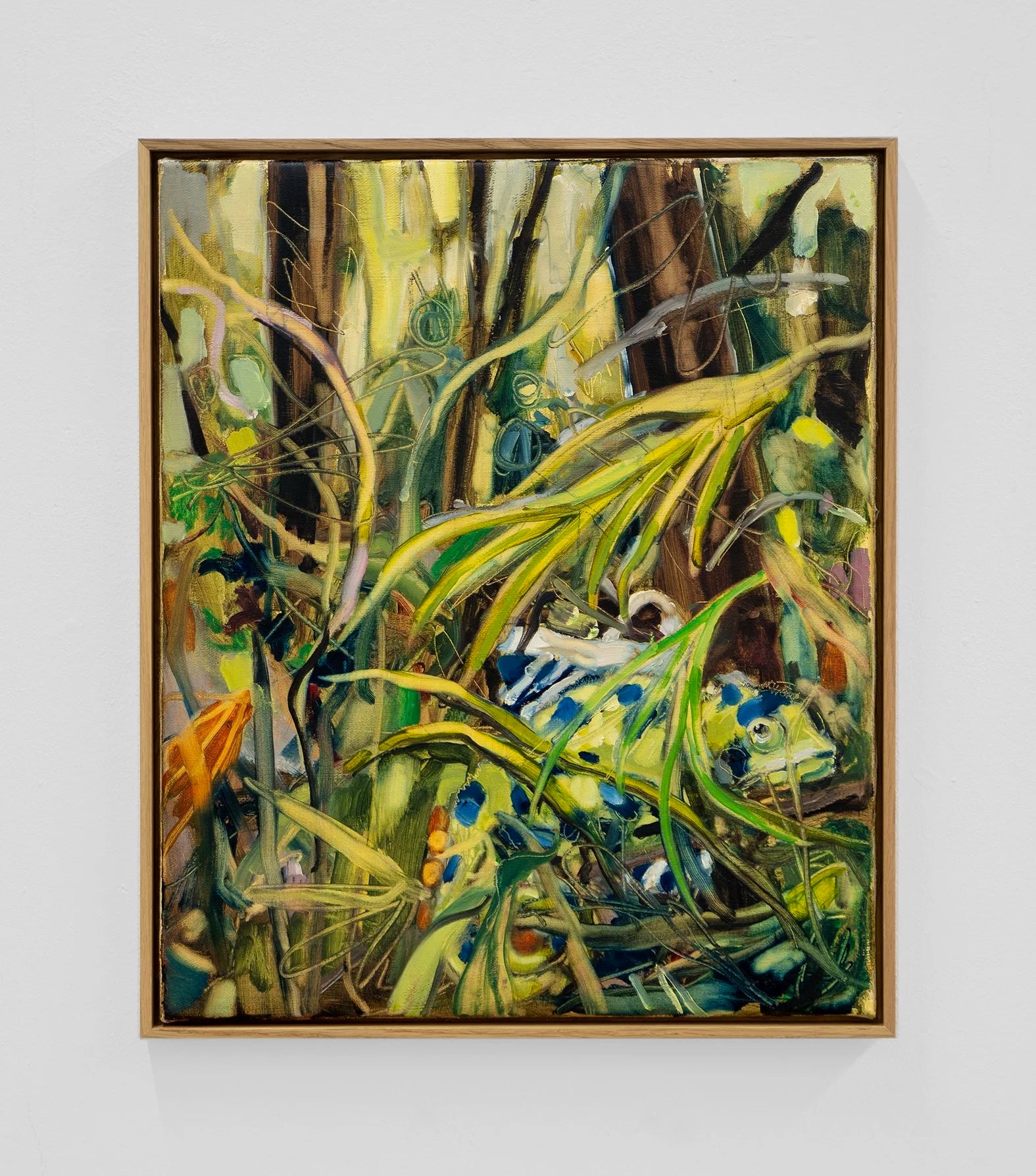 "Blending in (Aldi)", by Endre Aalrust
