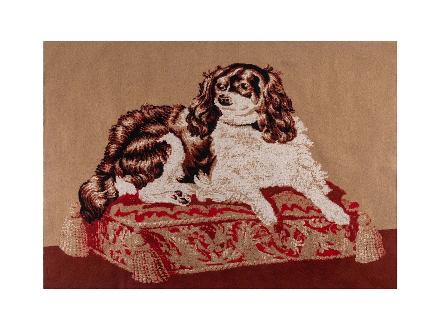 KING CHARLES SPANIEL