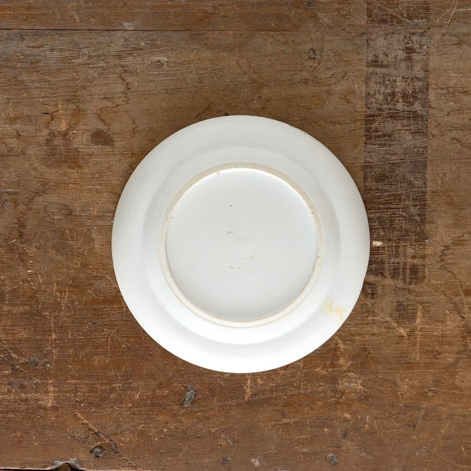 CHINESE PORCELAIN PLATE WITH GARDEN DETAILS