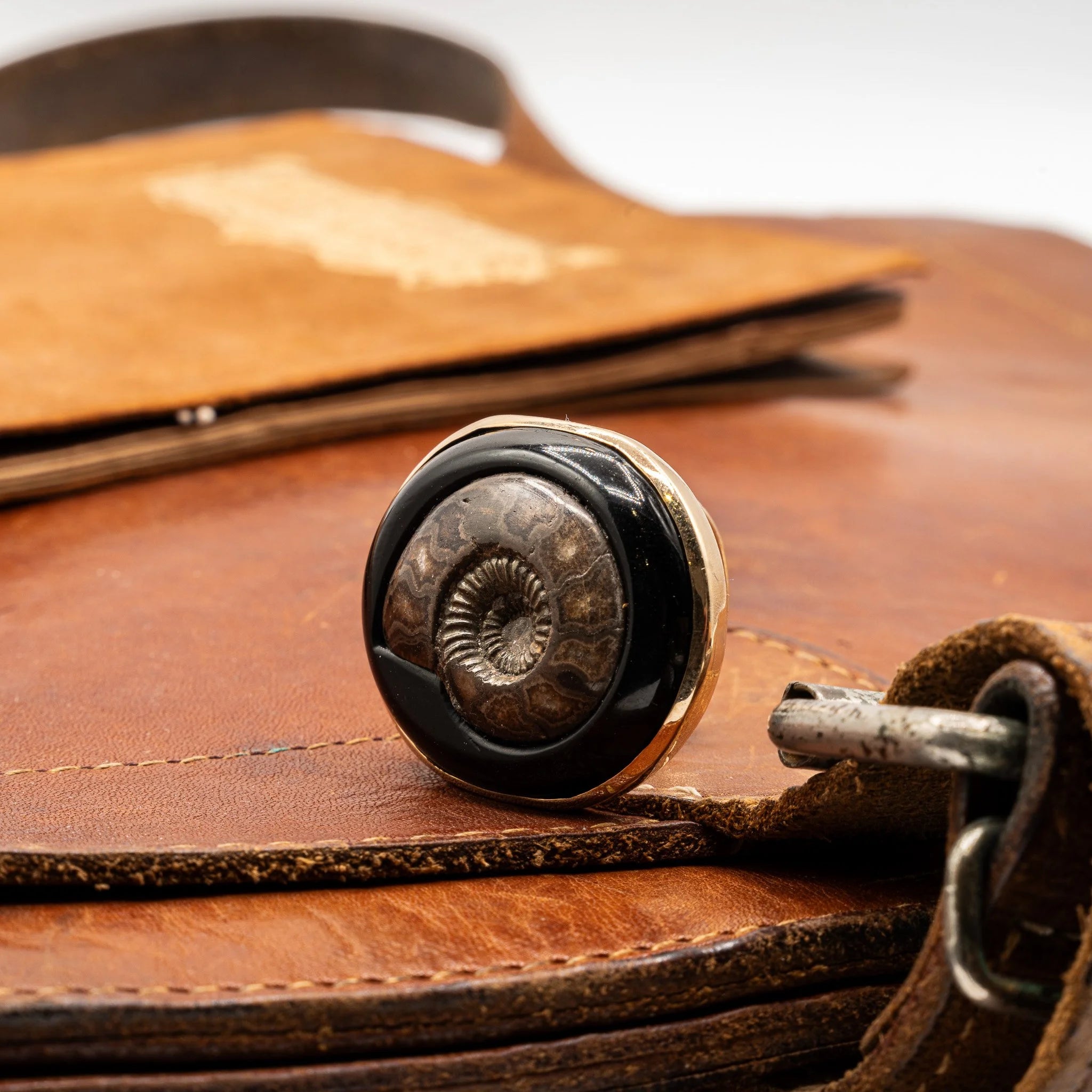 Turritella Agate Fossilized Shell Ring