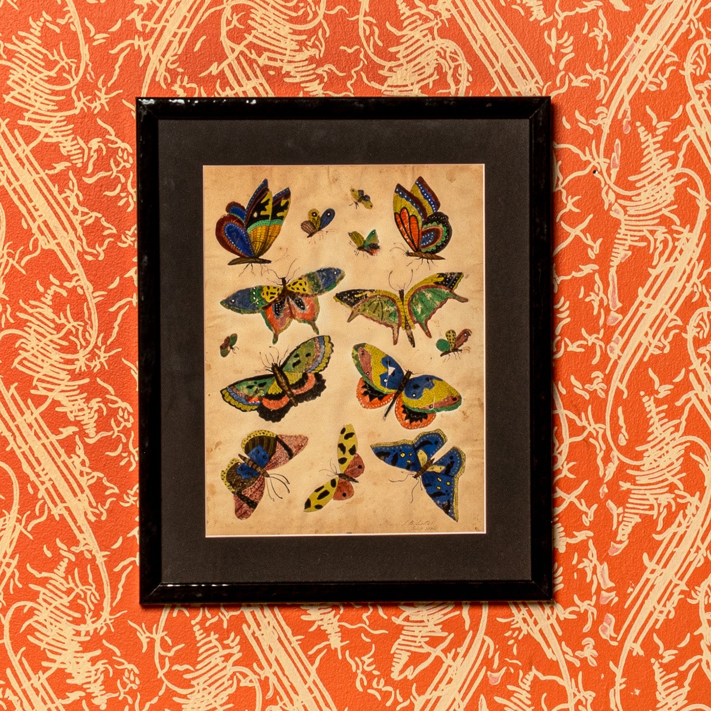 19TH-CENTURY AMERICAN BUTTERFLY WATERCOLOR STUDY