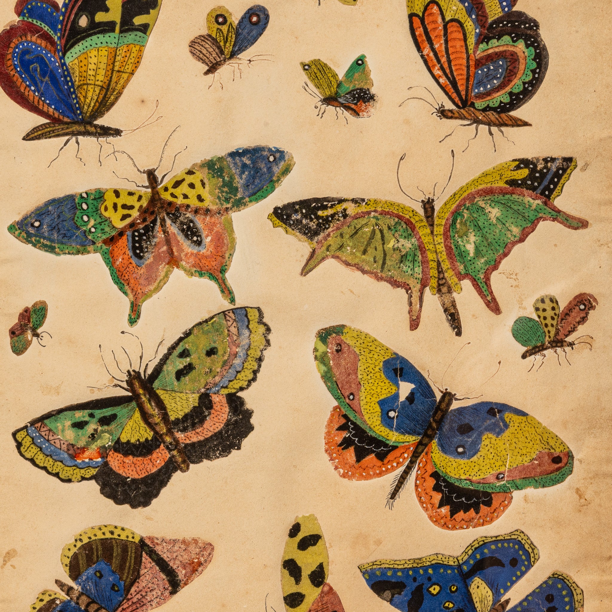 19TH-CENTURY AMERICAN BUTTERFLY WATERCOLOR STUDY