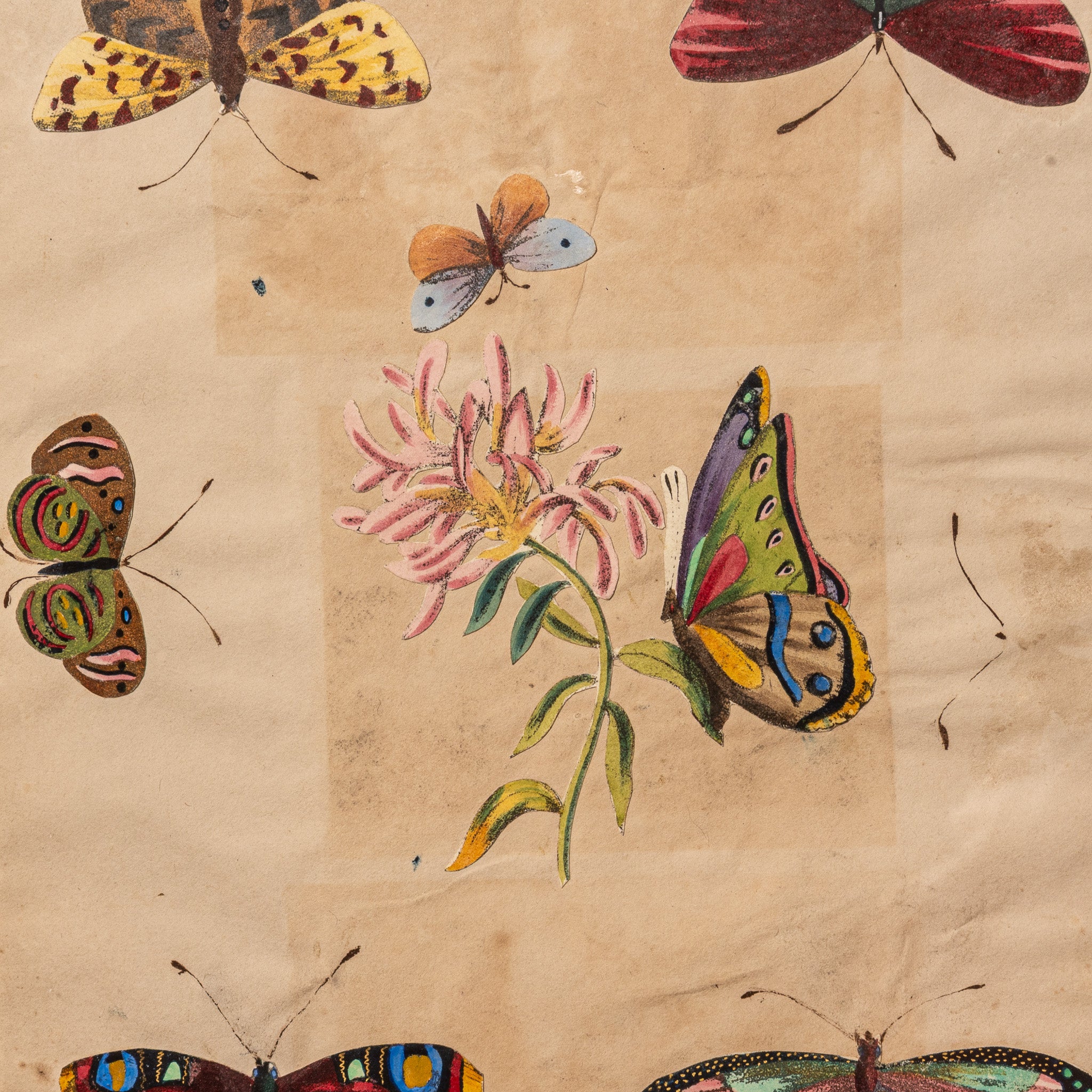 19TH-CENTURY AMERICAN BUTTERFLY WATERCOLOR STUDY II