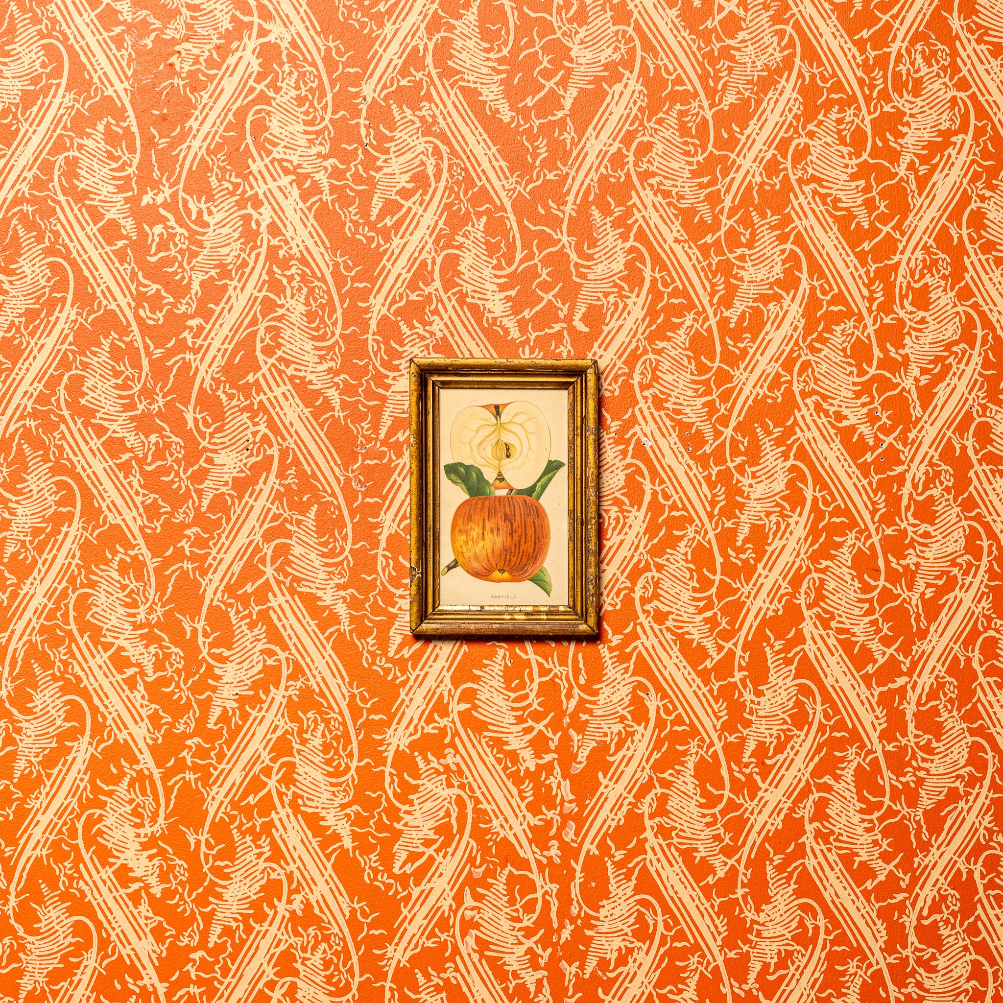 GARFIELD APPLE BOTANICAL PRINT IN ORIGINAL LEMON GILT FRAME
