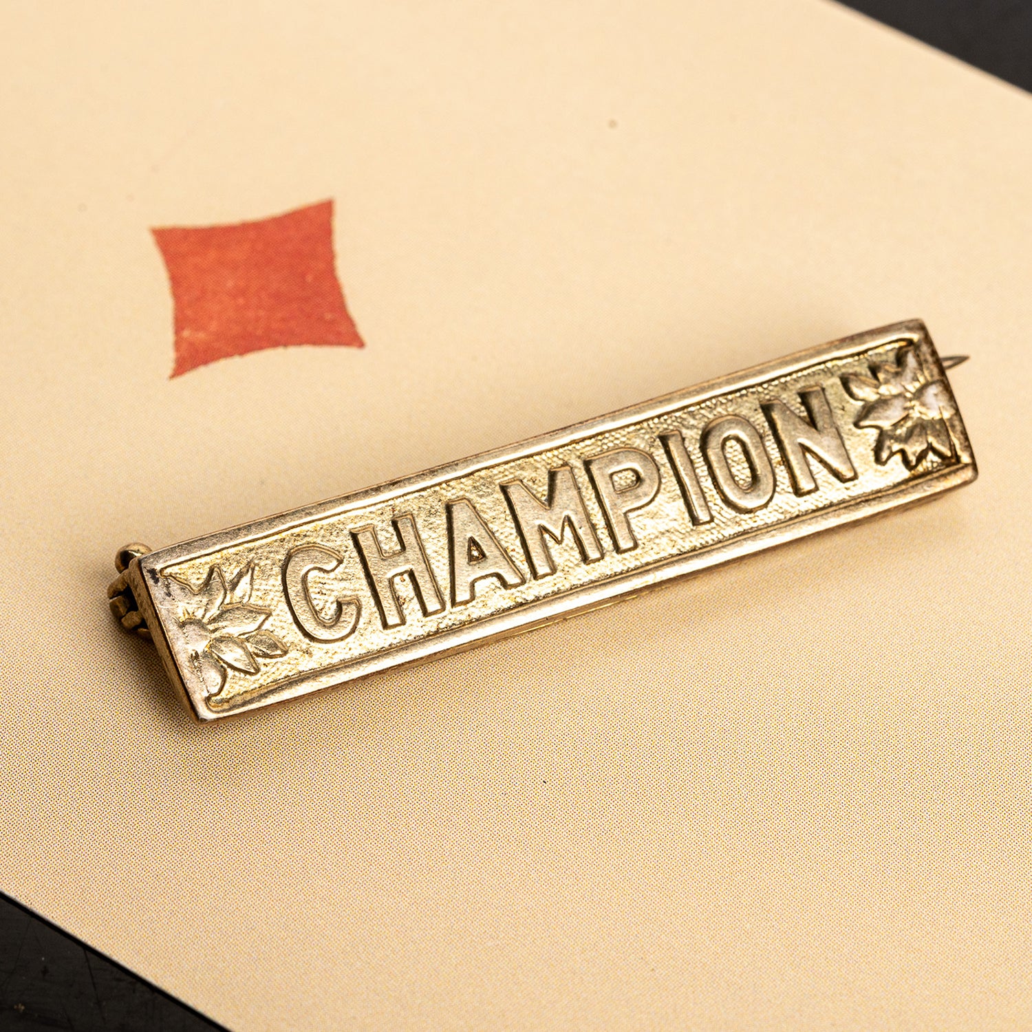 “Champion” Sterling Silver Pin From the Original SAVED Collection