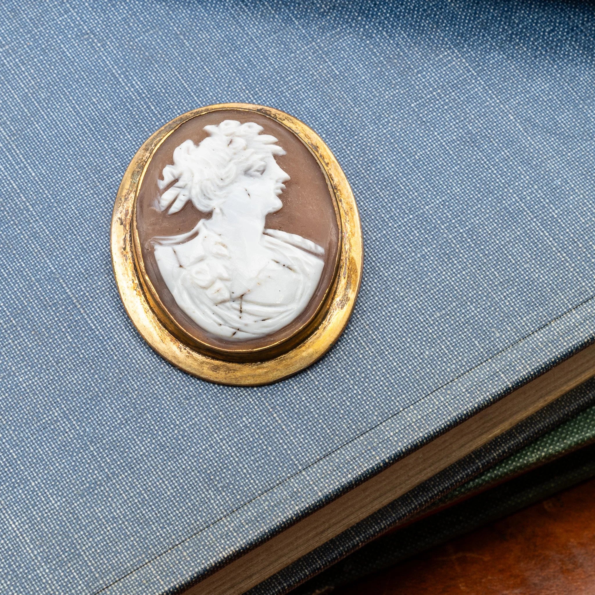 19th Century Carved Shell Cameo