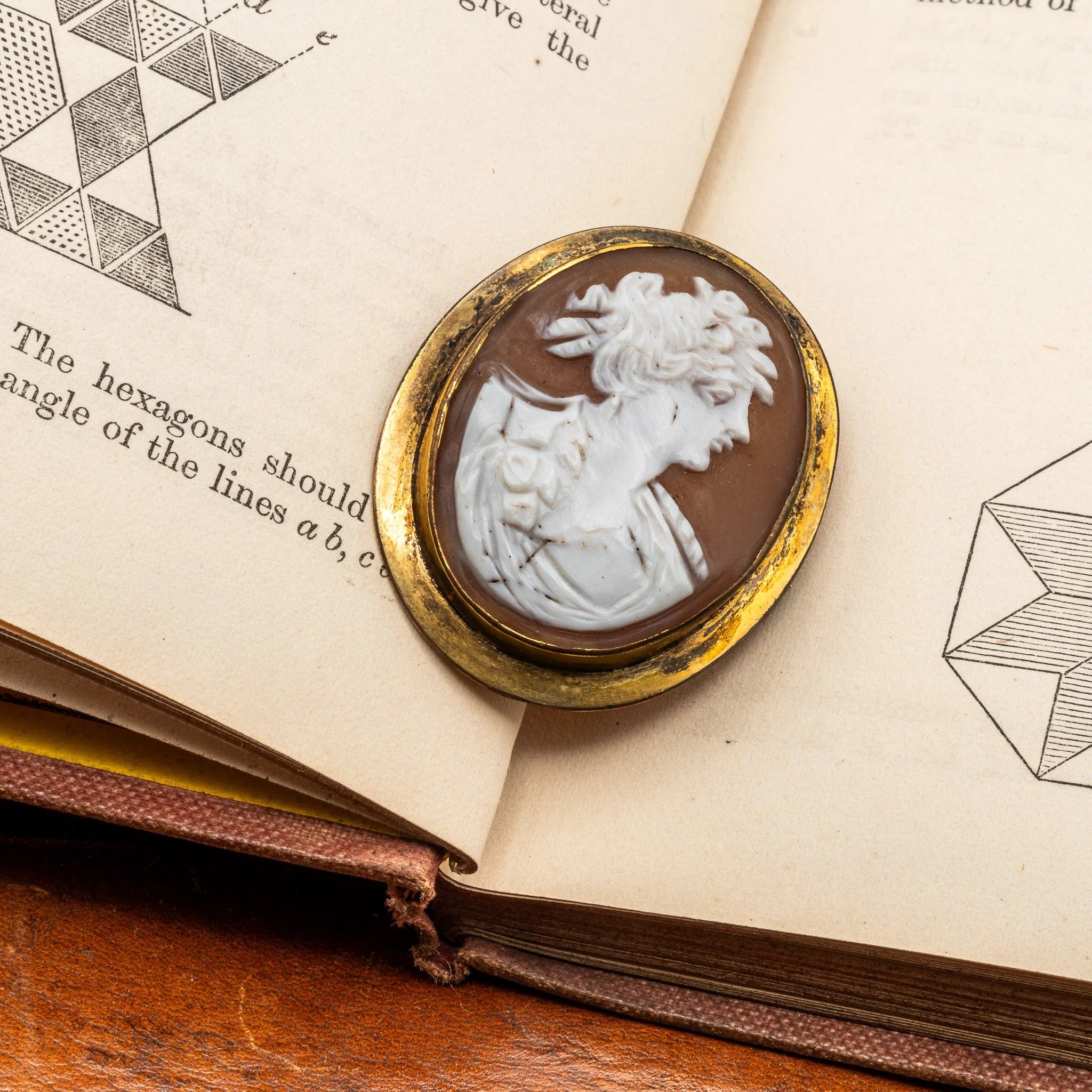 19th Century Carved Shell Cameo