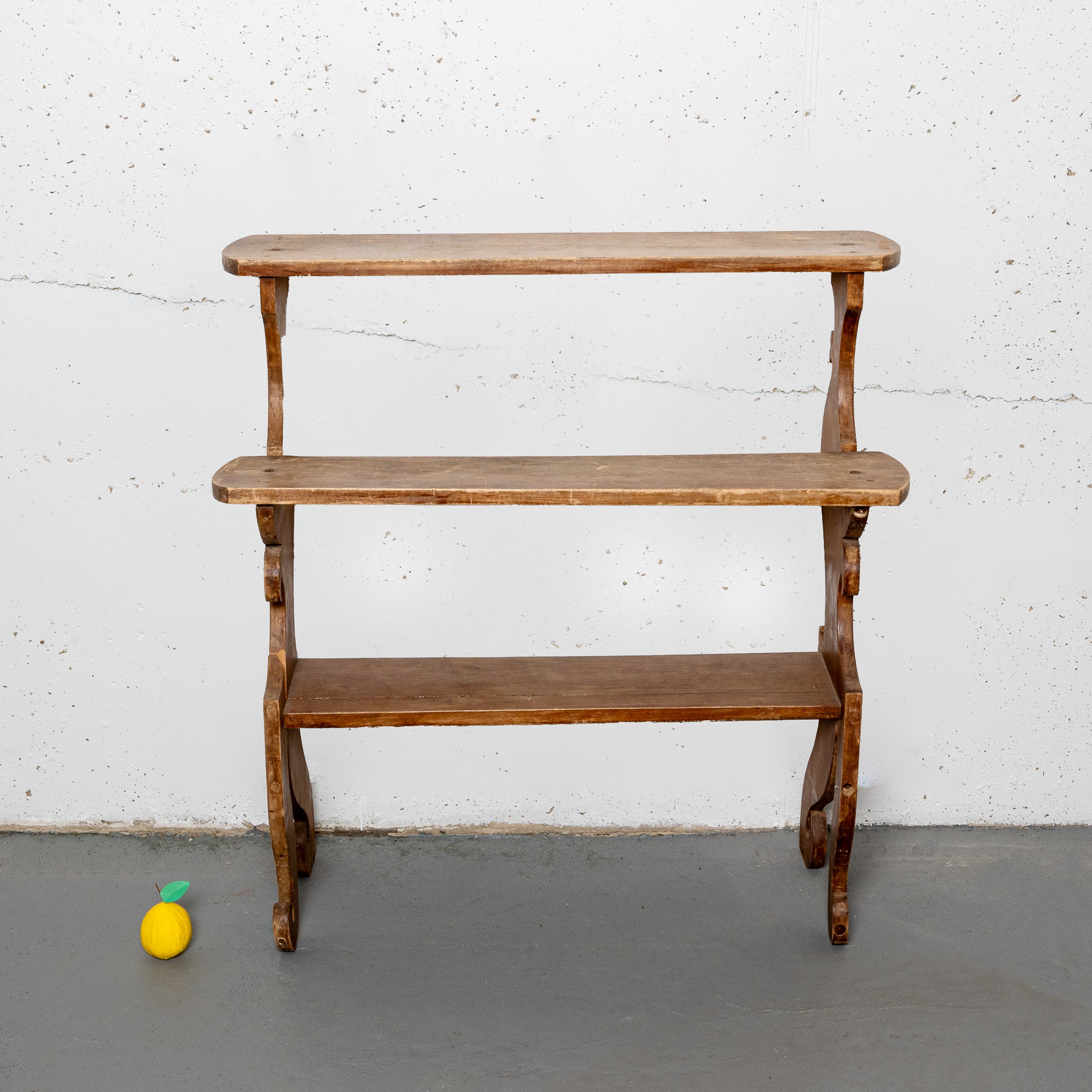 19th century American folk art plantsand