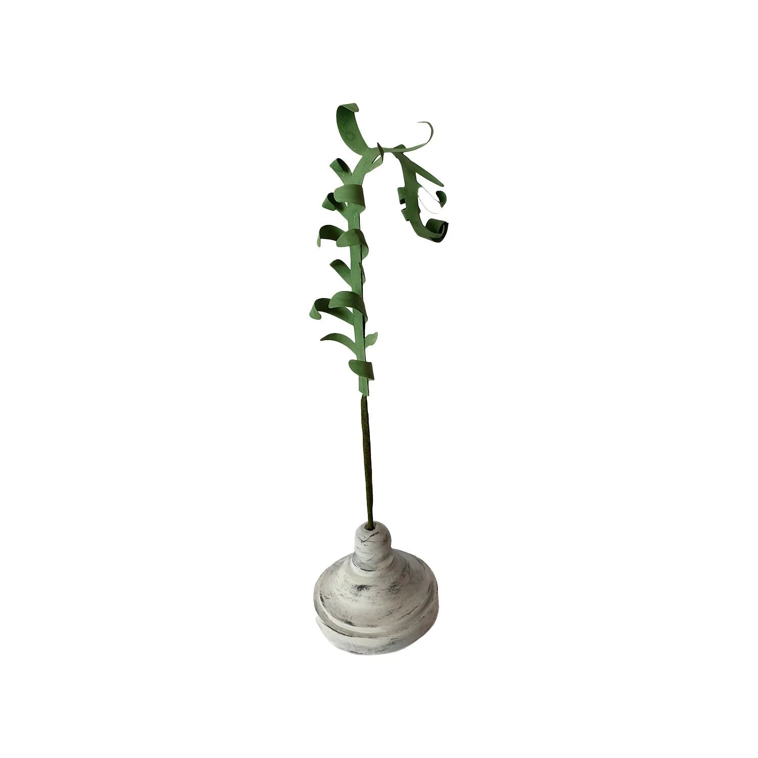 SPIRAL FERN
